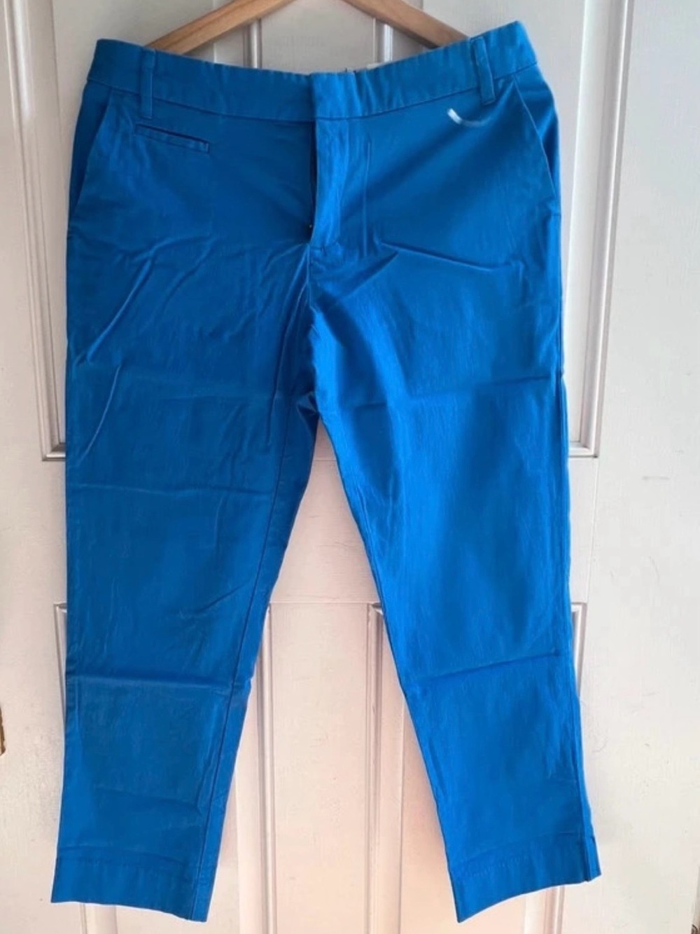 Patagonia Women's Vibrant Blue Capri Pants